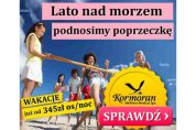 Więcej